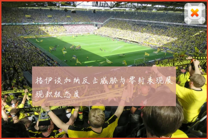 格伊谈加纳反击威胁与零封表现展现积极态度